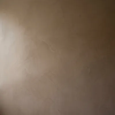 Venetian Plaster
