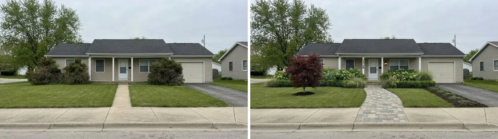 A plain single storey house with a lawn to the curb and two overgrown shrubs on the left, and the same house with layered foundation planting, a wider curved paver path and a small tree on the right