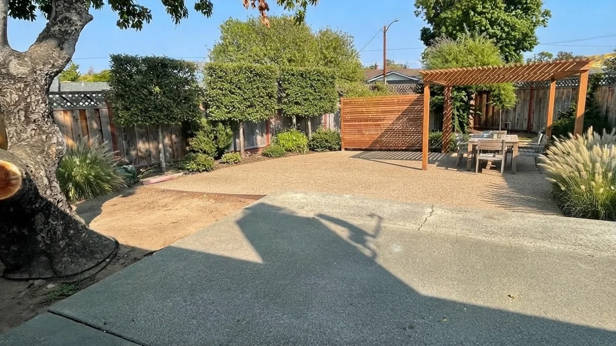 The base backyard rendered with pleached hornbeams along the fence, a slatted timber screen and a slatted pergola over the patio