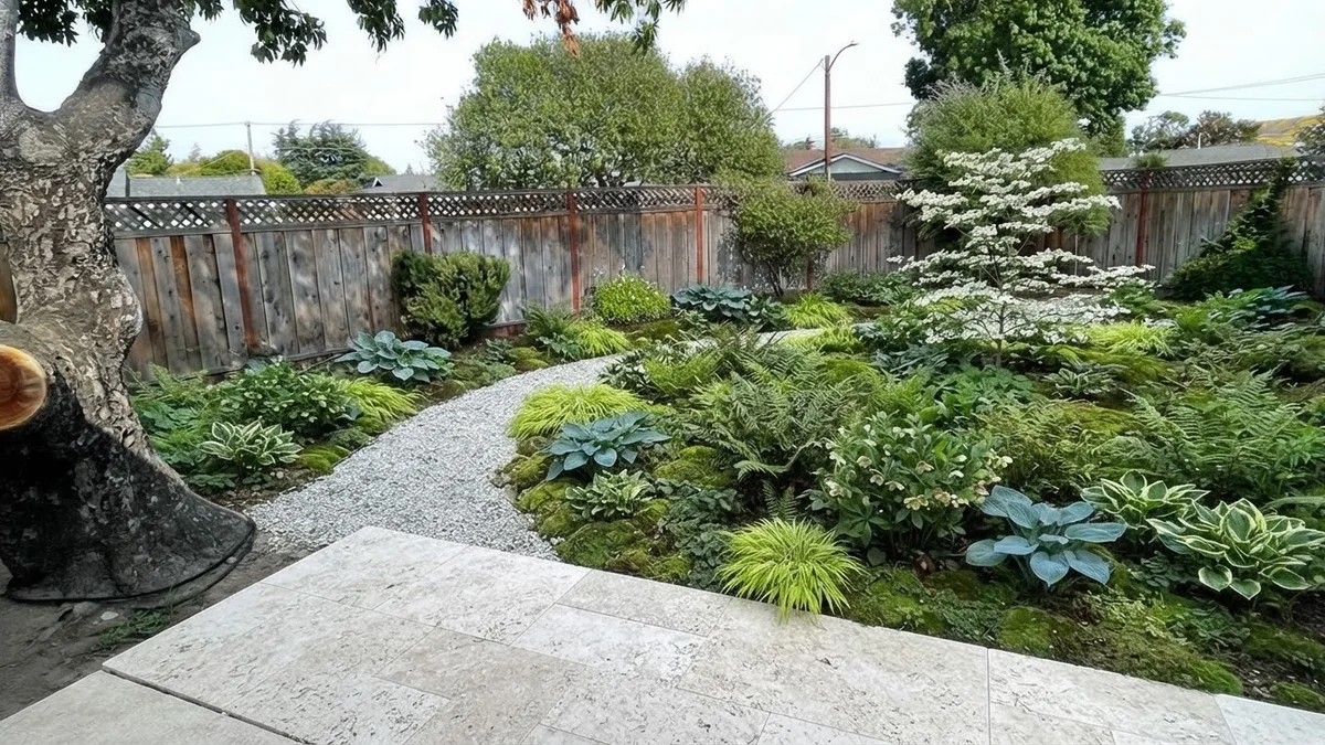 The base backyard rendered as a shade garden with ferns, hostas, a pale gravel path and a light limestone patio under a dogwood