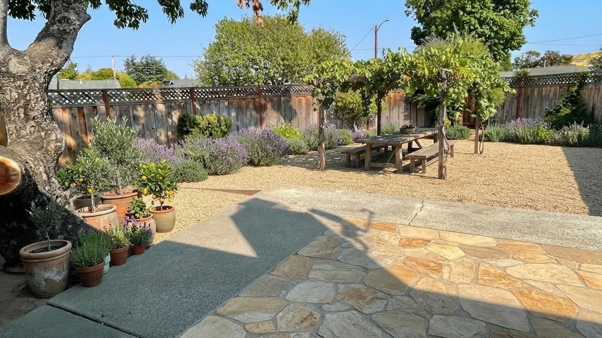 The base backyard rendered as a Mediterranean gravel garden with olive trees in terracotta pots, lavender, a vine-covered pergola and a long dining table