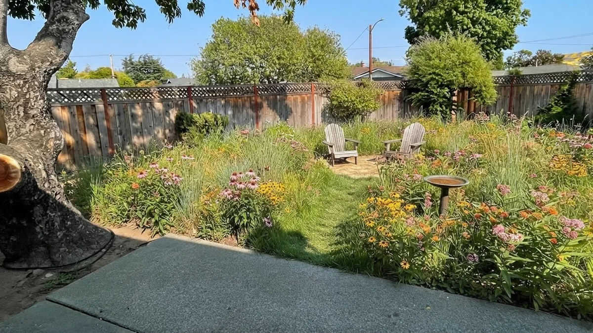 The base backyard rendered as a native meadow with tall grasses, coneflowers and a mown path to a sitting circle with Adirondack chairs