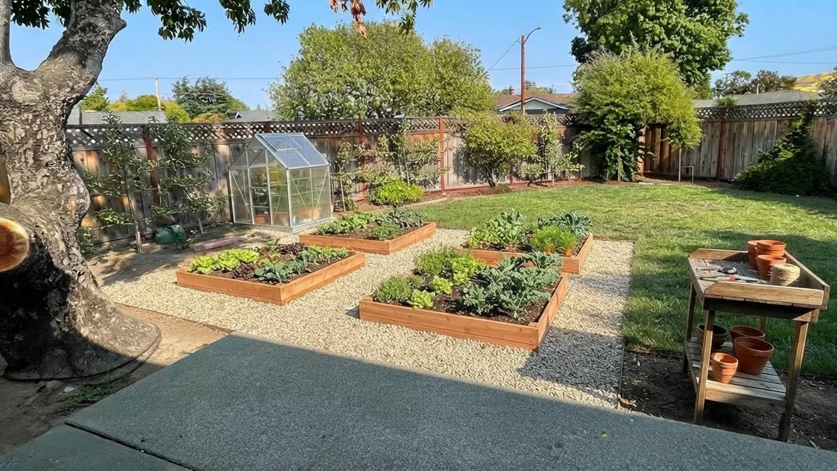 The base backyard rendered with four raised cedar vegetable beds, gravel paths, a small greenhouse and espaliered apples on the fence