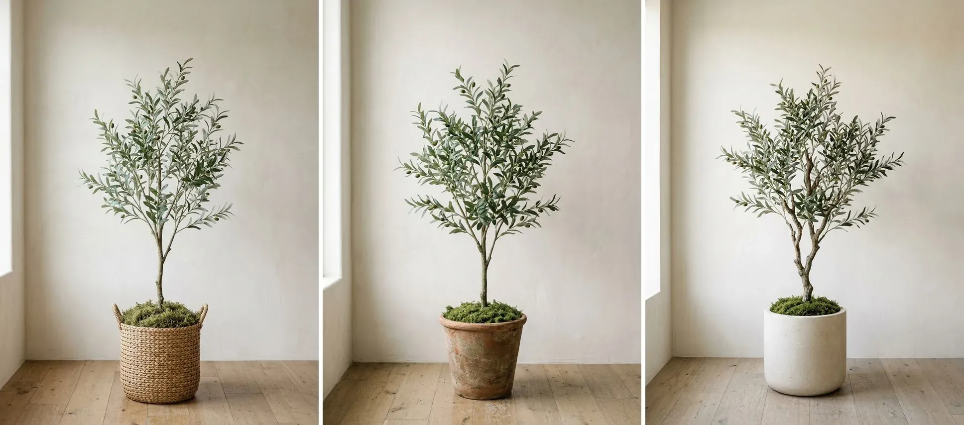 The same faux olive tree shown in three planters: a woven seagrass basket, an aged terracotta pot, and a smooth limestone cylinder