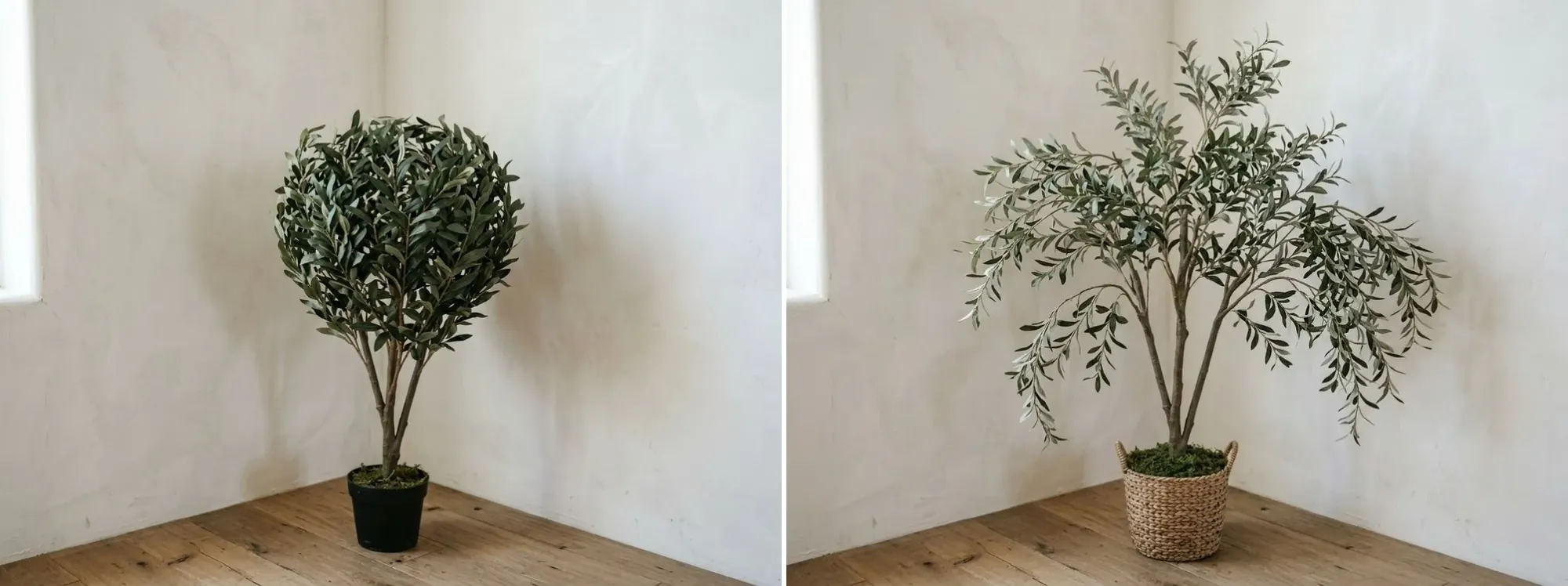 Before and after of the same faux olive tree: on the left a stiff, ball-shaped canopy with an exposed black plastic pot, on the right the same tree shaped open and asymmetric in a woven basket with moss at the base