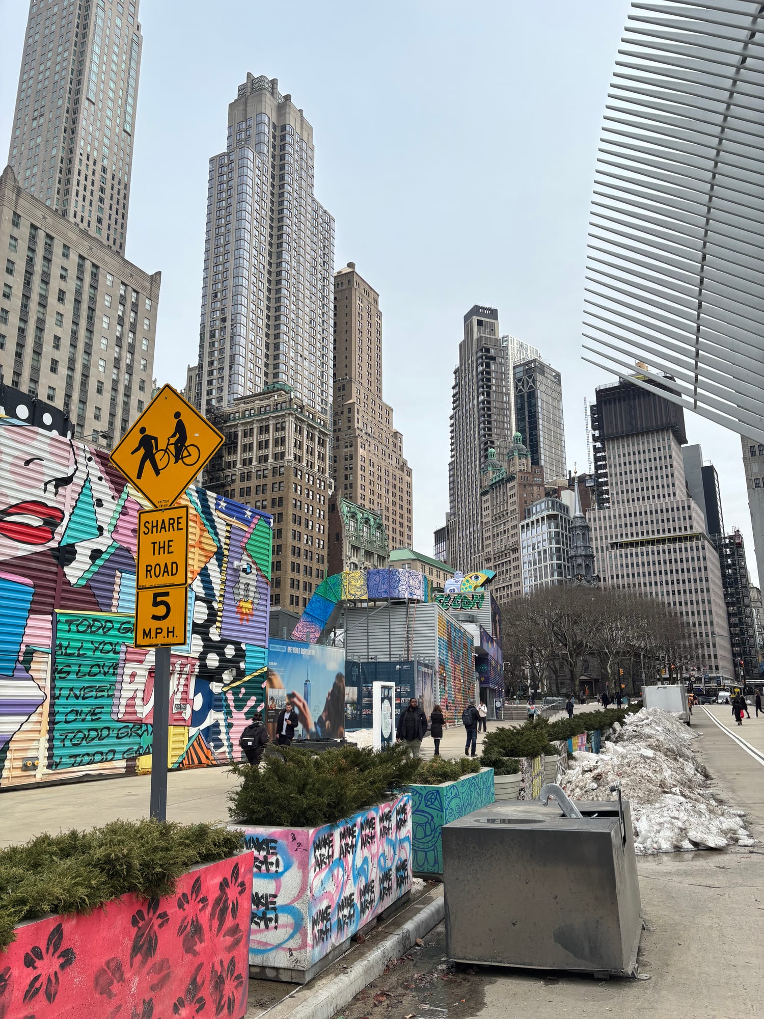 The founders of MeltFlex in New York City, lower Manhattan skyline near the Oculus