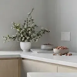 white bowl of nuts