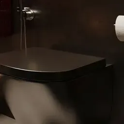 wall-mounted toilet