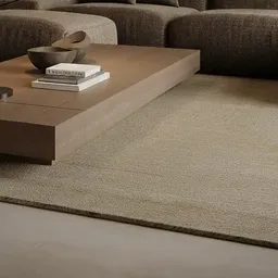 light beige area rug