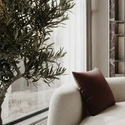 tall olive tree