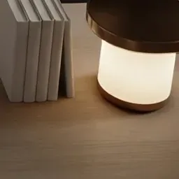 bronze table lamp