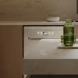 white dishwasher