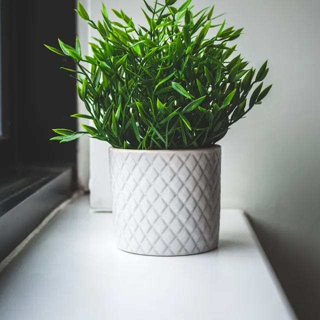Simple greenery and decor